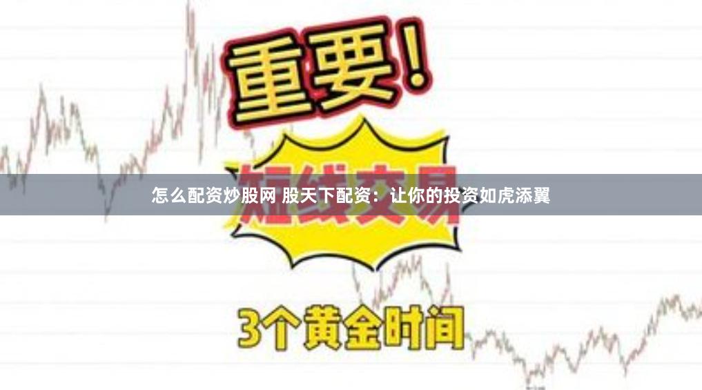 怎么配资炒股网 股天下配资：让你的投资如虎添翼